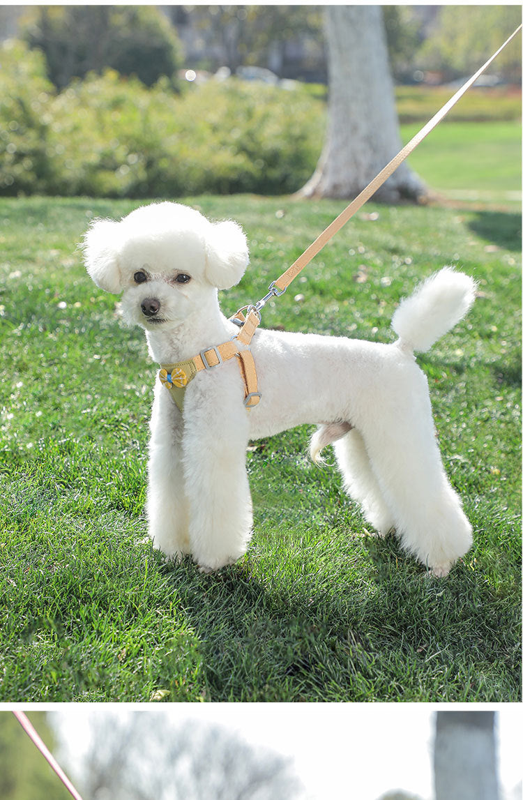 Dog Hand Holding Rope Vest Small Dog