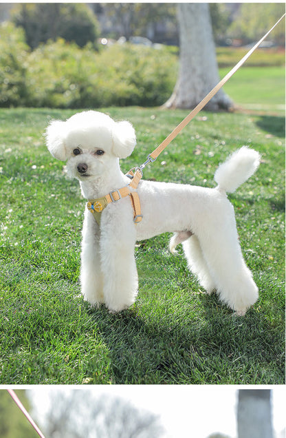 Dog Hand Holding Rope Vest Small Dog