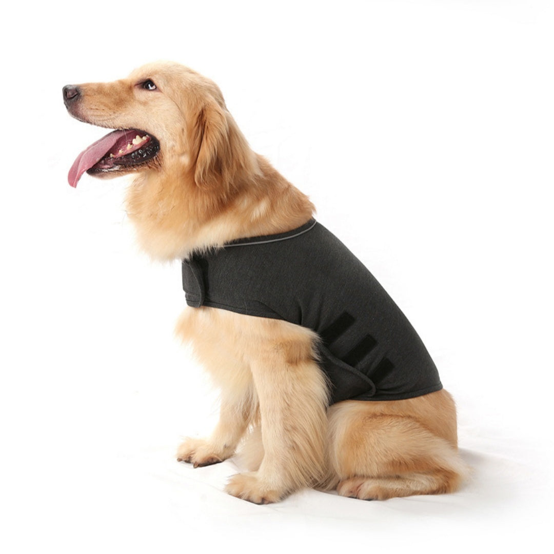 Pet Mood Soothing Anxiety Jacket Soothing Clothing 8bd3d2a6 259f 45bc aabc a2b5b59bd6c7