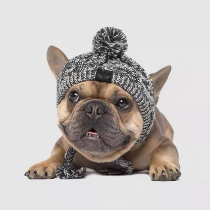Wool Ball Thermal And Windproof Puffy Ball Knitted Dog Hat 8c228ed9 4b7b 43b9 8977 ce3938d6a5b0