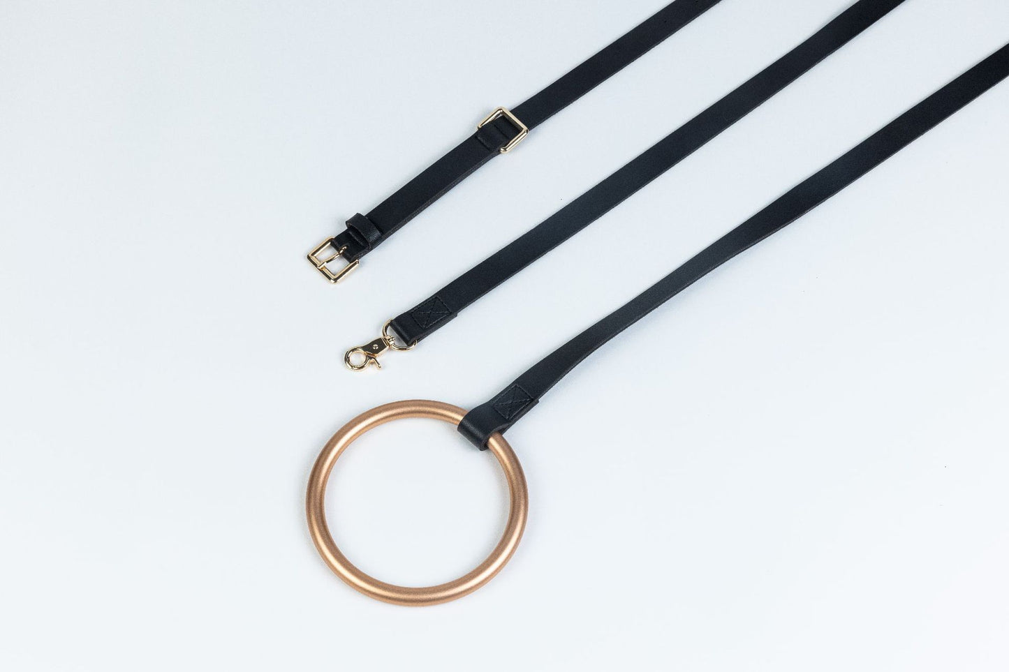 Cross-border Products In Stock New Pet Hand Holding Rope Leather Dog Collar 8c50e55e efee 4a43 8f7c 24de3193976f