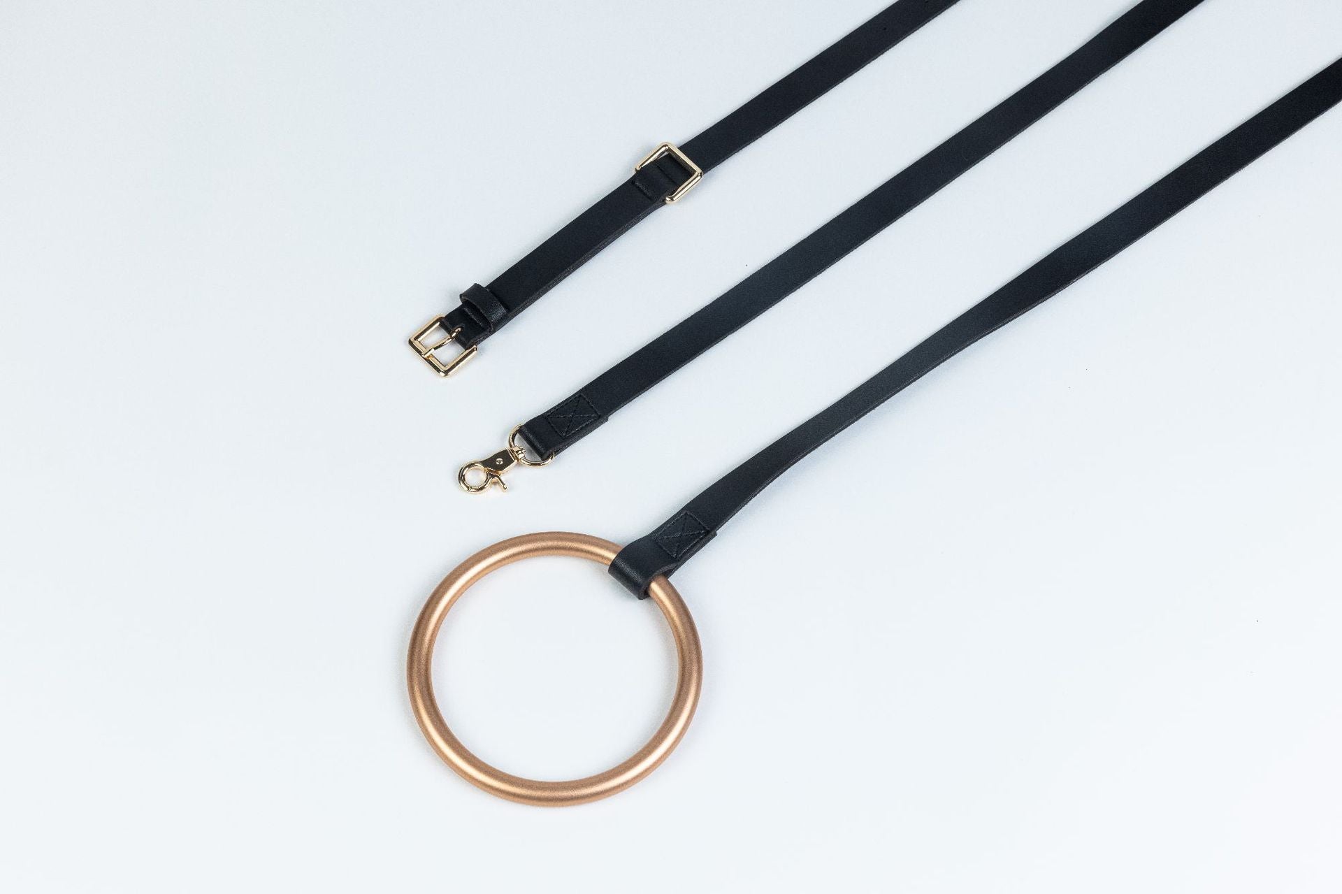 Cross-border Products In Stock New Pet Hand Holding Rope Leather Dog Collar 8c50e55e efee 4a43 8f7c 24de3193976f