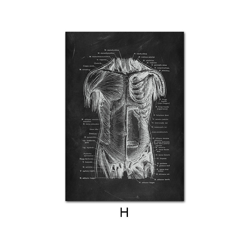 Canvas Painting Of Human Anatomy Skeleton Organ System - 图片 13