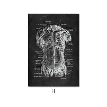 Canvas Painting Of Human Anatomy Skeleton Organ System - 图片 13