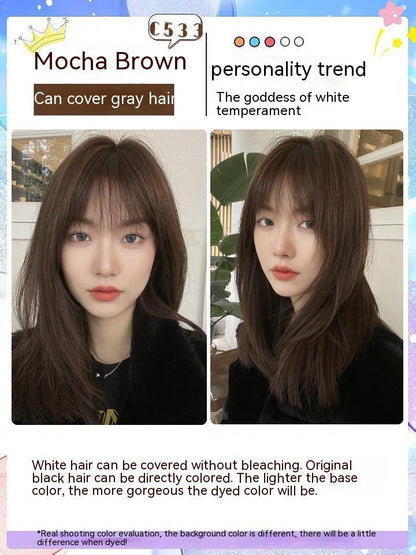 Ammonia-free Hair Color Paste Monochrome Paste Cover White Hair Multi-segment Color One-step Black Tea Gray Blue Black Hair D