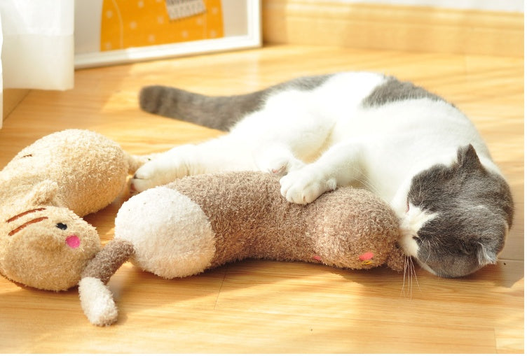 Cat Toy Pillow Shaped Funny Funny Stick Pet Supplies 8d9bff04 ae2b 41d6 957a ffd57a14da6d