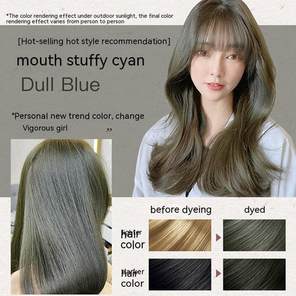 Ammonia-free Hair Color Paste Monochrome Paste Cover White Hair Multi-segment Color One-step Black Tea Gray Blue Black Hair D
