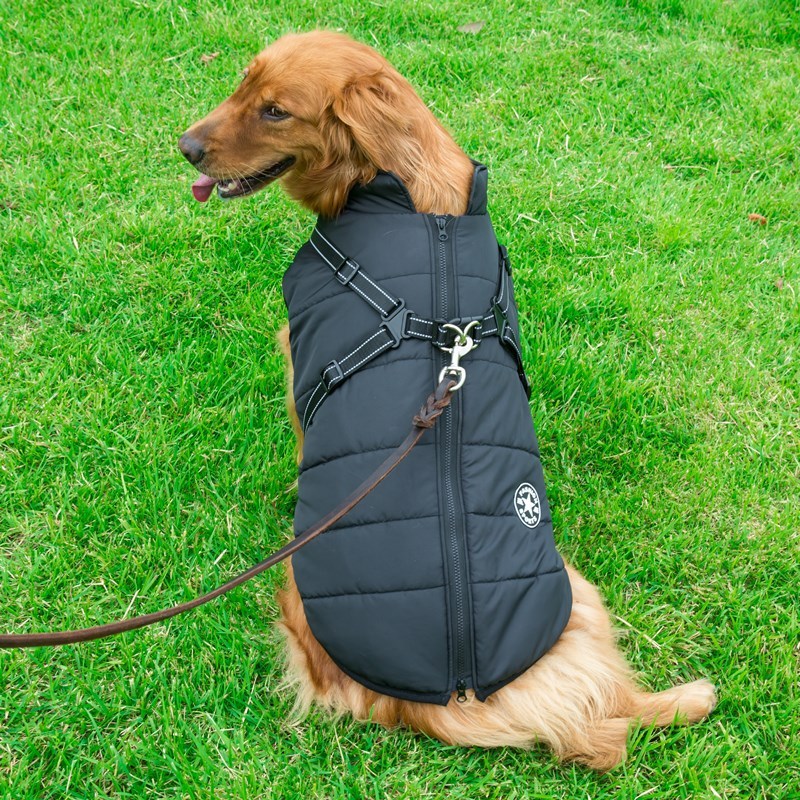 Pet Dog Clothes For Small Dogs Winter Warm Dog Hooded Coat Jackets Chihuahua Pug Outfits Puppy Cat Clothing 8e9dbc8e d85a 40f