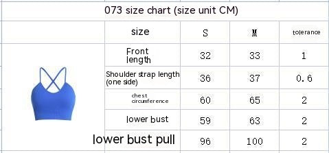 Buckle Shock-absorbing Cross Beauty Back Fitness Bra