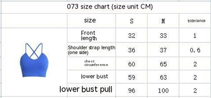 Buckle Shock-absorbing Cross Beauty Back Fitness Bra