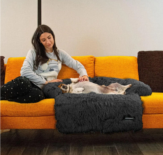 Pet Cushion Rest Cushion Sofa 908fe3bc c725 4cc1 bedc ade7a60879b4