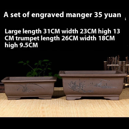 Purple Sand Flowerpot Breathable Bonsai Pot Orchid Pots Banyan Potted Green Radish 91ebebb8 0b9e 4d9b 9b02 9a06066565a4