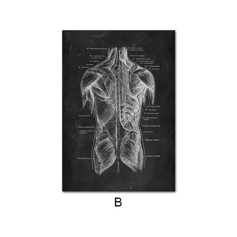 Canvas Painting Of Human Anatomy Skeleton Organ System - 图片 7