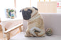 3D Simulation Belldog Plush Toy Pillow Real Life Doll Funny Pug Dog Doll Nap Pillow Lying Prone Soft Sofa Pillow - HD Wireless Product #7