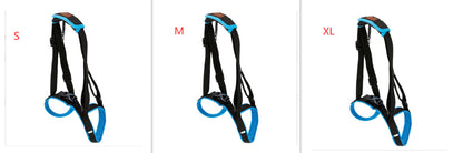 Pet Leg Strap Walking Support Dog Leg Support 93dad857 c8cb 44b5 b543 874594e181c8