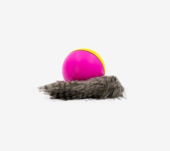 Electric Beaver Ball Water Cat Bath Play Water Toys 945553139014