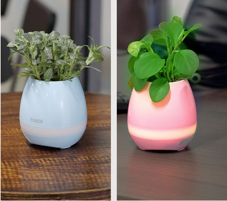 Touch-sensitive music vase desktop audio 946015950843
