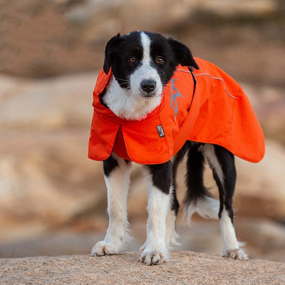 Pet Dog Cotton-padded Clothes Autumn And Winter Waterproof Warm With Velvet 962e6fc3 174c 4fbd af5f fc408e9f82a5