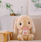 Long-eared lop-eared rabbit 976624497384
