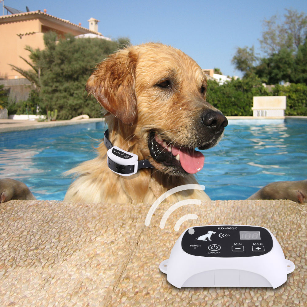 Wireless Electronic Pet Fence System 979281377995