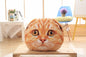 40cm&50cm Cat Pillow Car Cushion Creative Stuffed Cute Cat shape Nap pillow Cute seat cushion Plush Toys Animal Pillow - HD Wireless Product #4