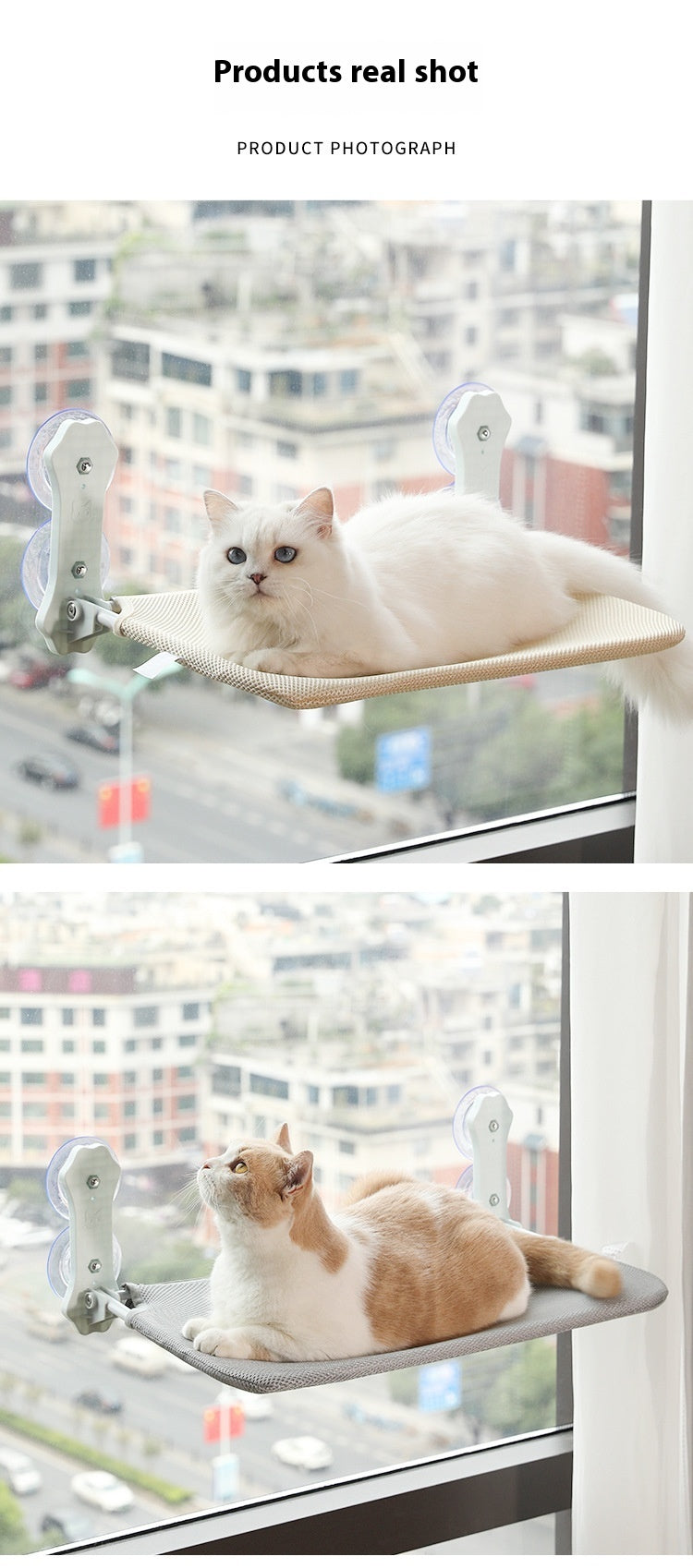Pet Supplies Suction Cup Hammock Removable And Washable Cat Nest 99a947aa 7aa4 427c aca0 e721baef70e9