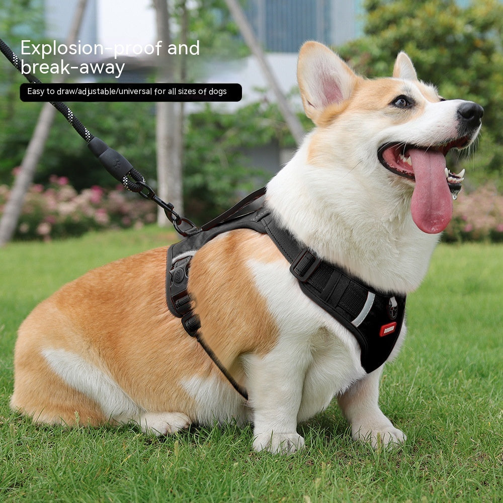 Pet Hand Holding Rope Vest-style Explosion-proof Reflective 9d2e0236 0b4b 4b80 b0b7 ff94f5ddf562