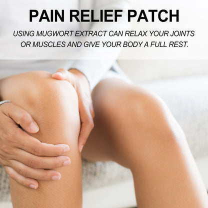 Argy Wormwood Pain Relief Patch Body Care 9dc7a2b0 bb23 41fe afff 79ea6c3e9cfb