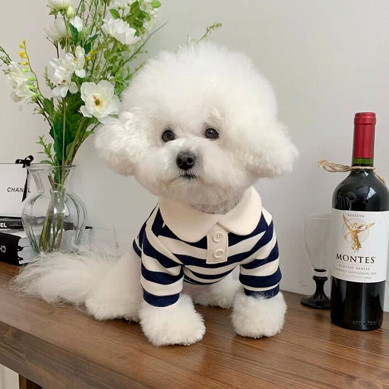 Pomeranian Poodle Small Dog Cat Dog Clothing a04f854b 987d 4ae2 9e78 b1722182d100