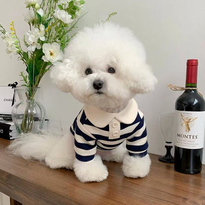 Pomeranian Poodle Small Dog Cat Dog Clothing a04f854b 987d 4ae2 9e78 b1722182d100