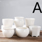 Ceramic Creative Indoor Succulent Plant Pots