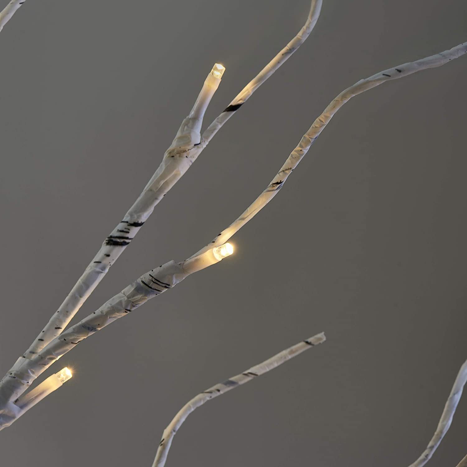 Christmas Simulation Of Birch Tree Lights a419079c 4d04 4f2a 9464 ea3130940e30