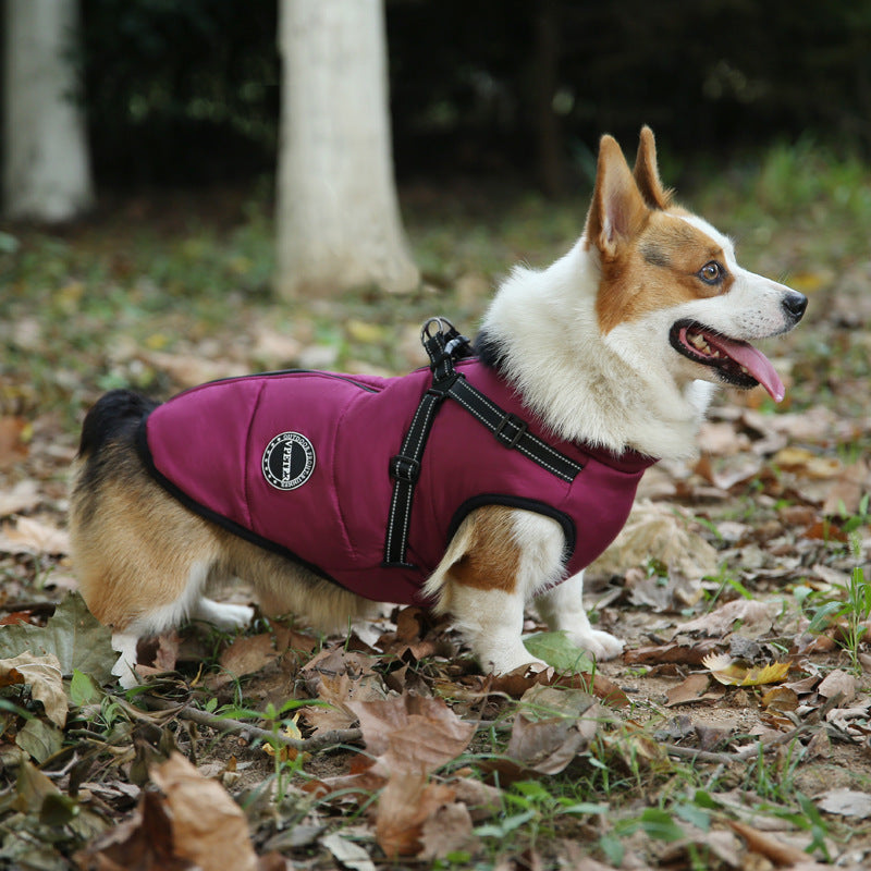 Fashion Personalized Warm Keeping Multicolor Pet Clothes a44c3d49 5eab 4d99 8092 5f328ae5a3f7
