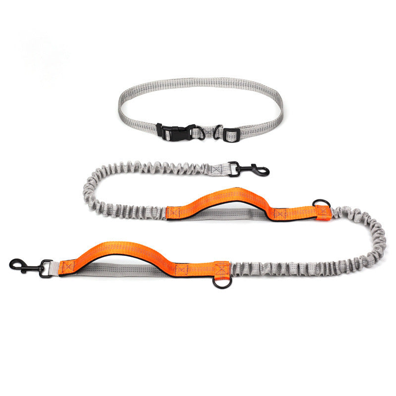 Multifunctional Running Reflective Double Telescopic Dog Leash Dog Chain Lead Rope a477d385 0a8f 4608 9ef7 9a569983d509