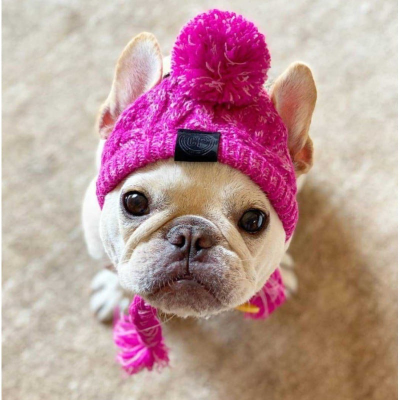Wool Ball Thermal And Windproof Puffy Ball Knitted Dog Hat a5db1f1f 3cb4 4d4a 886a a6c72d81d5de