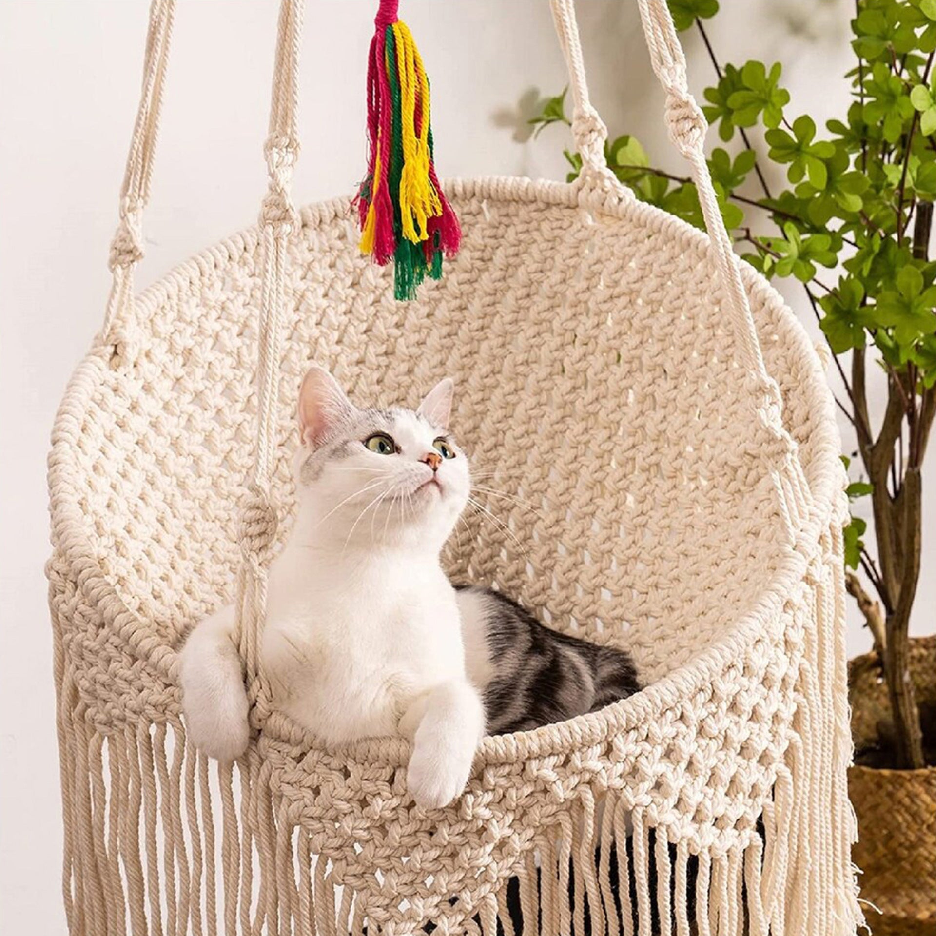 Nordic Bohemian Woven Tapestry Net Pocket Cat Nest a7846b61 9013 4c10 8ca6 58de3a43e05a