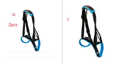 Pet Leg Strap Walking Support Dog Leg Support a9f1bd50 89c1 4fd4 870d 311ef3bba42a