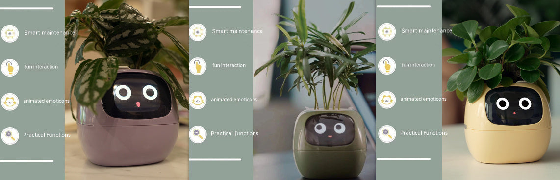 Smart Planter Endless Fun Over 49 Rich Expressions 7 Smart Sensors And AI Chips Make Raising Plants Easy And Fun aa56fa92 e2b
