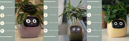 Smart Planter Endless Fun Over 49 Rich Expressions 7 Smart Sensors And AI Chips Make Raising Plants Easy And Fun aa56fa92 e2b