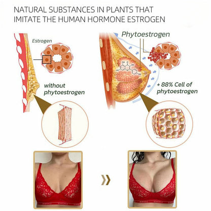 Papaya Supplement aaa80503 fd1e 4984 a286 222c6fe9c03b