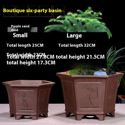 Purple Sand Flowerpot Breathable Bonsai Pot Orchid Pots Banyan Potted Green Radish ac9c9c43 d615 4215 a5ce f8c22de60945
