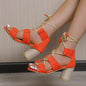 High Heel Chunky Heel Women's Strap Sandals High Heels acc45a49 80f1 45bb abd5 4f9e18aa2157
