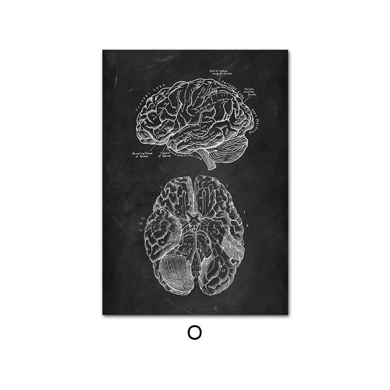 Canvas Painting Of Human Anatomy Skeleton Organ System - 图片 5