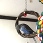 Bird Standing Frame Rattan Ring Chewing Toy Bird Cage ad690793 9dd7 423f 8f38 d11dfd59577d