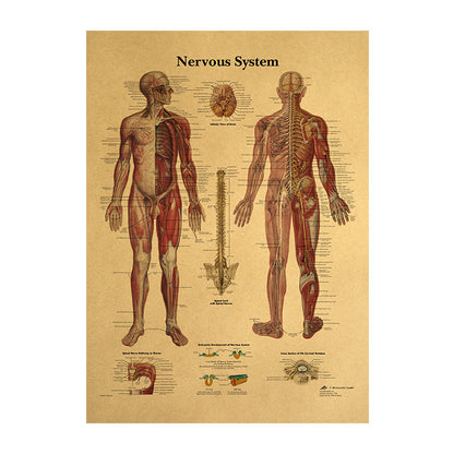 Human Body Narrator Nervous System Kraft Paper Retro Poster adaa2378 c4f9 4868 915e f753641bdd13