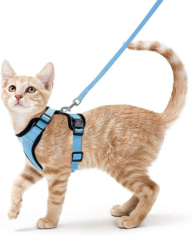 Breathable Chest Strap Reflective Anti Breaking Loose Hand Holding Rope ae58cb9b fbaa 4140 922c 64cc88fe9eff