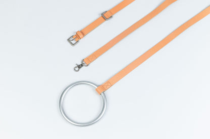 Cross-border Products In Stock New Pet Hand Holding Rope Leather Dog Collar b13352e8 6185 4666 8a84 5cccab3649b2