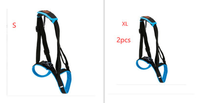 Pet Leg Strap Walking Support Dog Leg Support b236be3e 845b 42b3 888f 2883d039a499