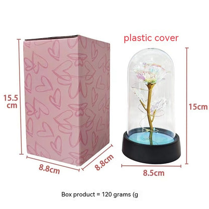 Glass Cover Small Night Lamp b2879b09 ec0a 4065 b808 16a49c901064