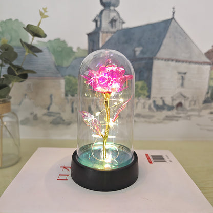 Glass Cover Small Night Lamp b2a26a43 c302 4e5f b1f3 69d836801b01 44c458b5 563c 41e3 92bf b507de922981